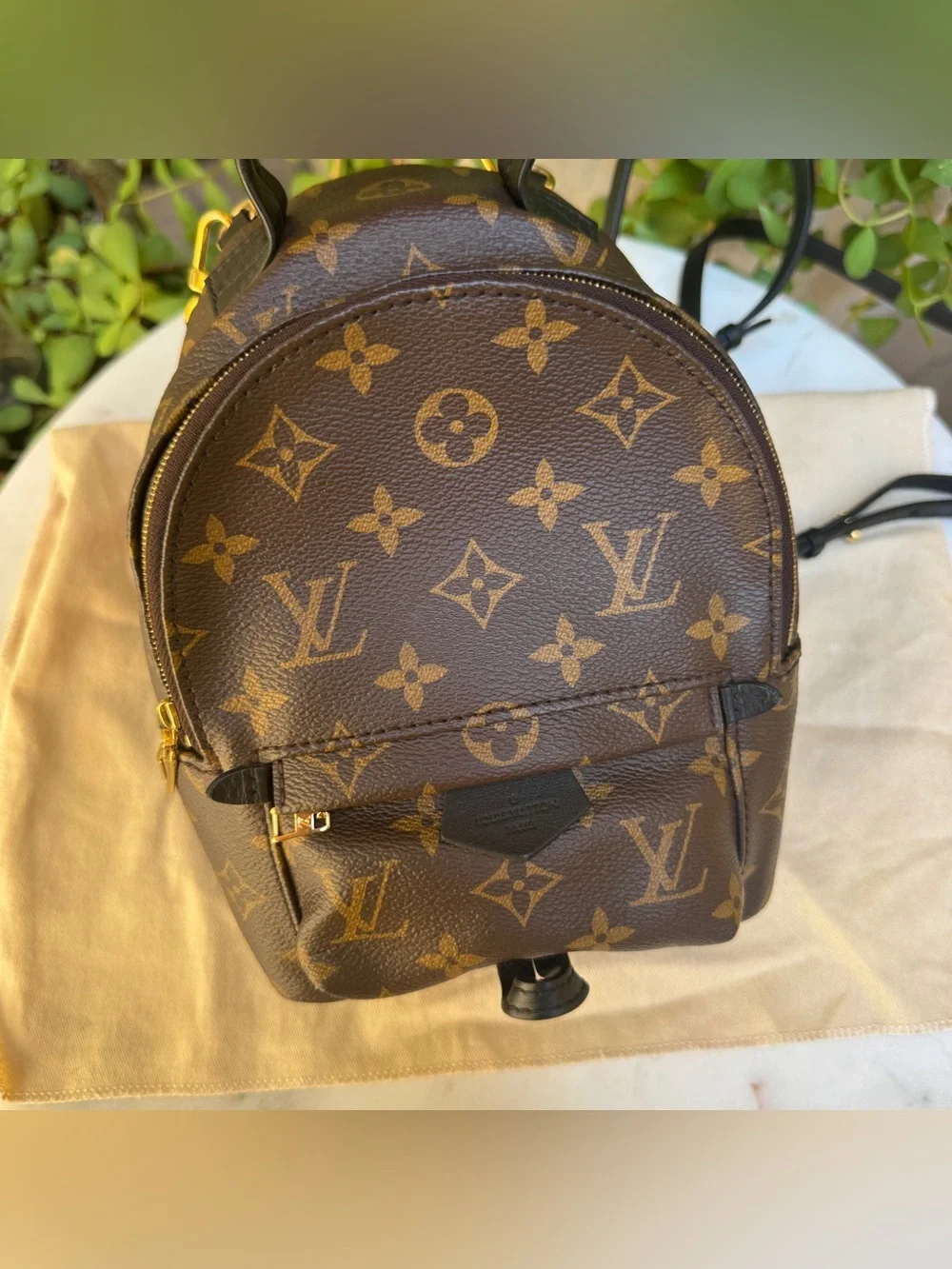 Louis Vuitton Monogram Mini Palm Springs Backpack